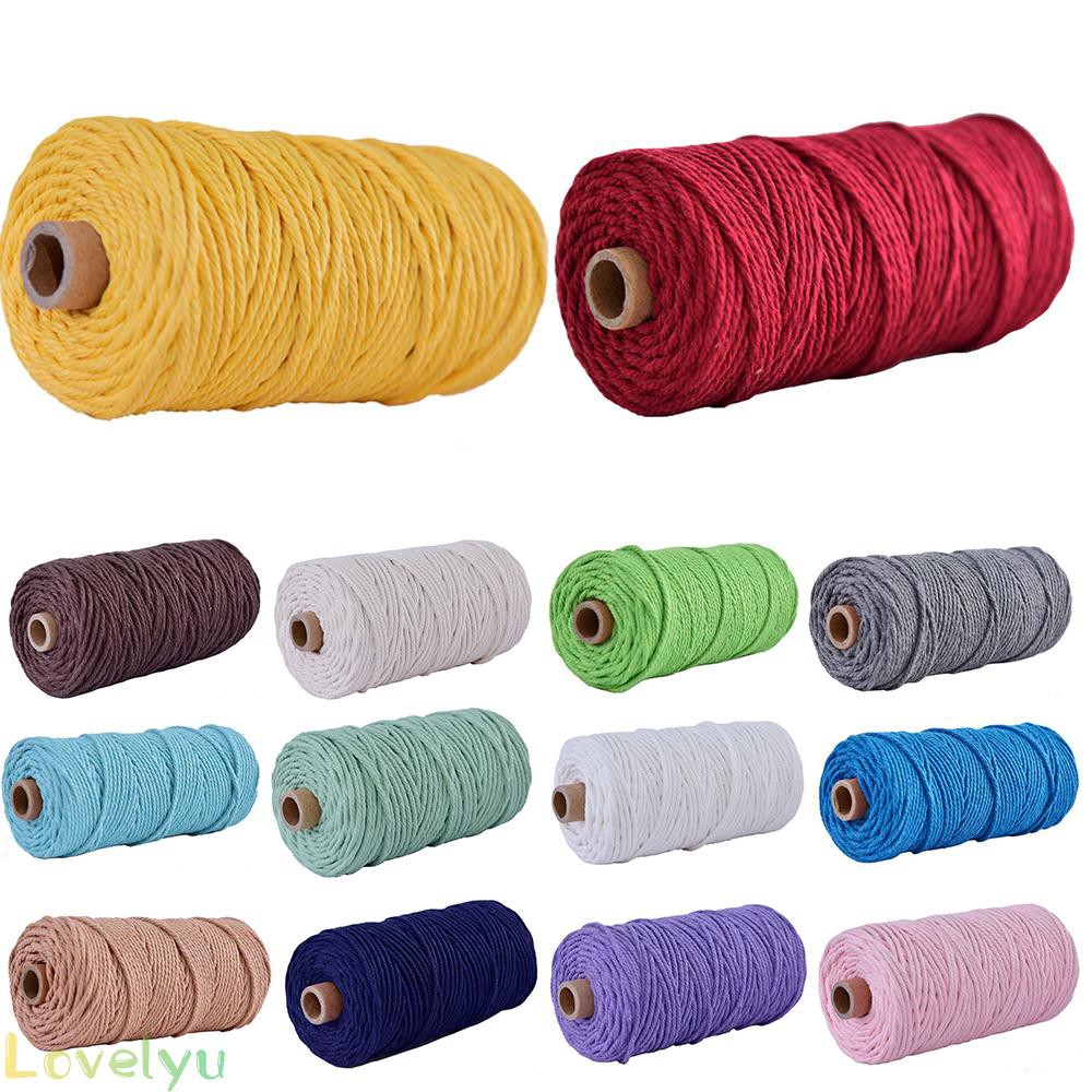 Rope Supply Cotton 100M 3mm Cord Hemp Making String Single Pipping Macrame Home 100m Woven 3mm*100m Coloured Rope