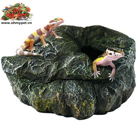 Hang trú ẩn cho bò sát Repti Shelter3-in-1 Cave  Dễ dàng vệ sinh