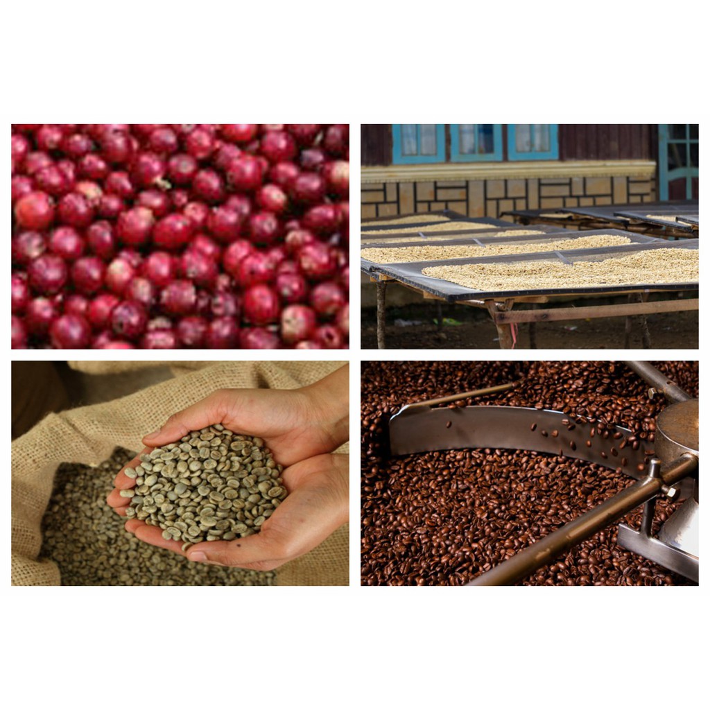 cafe Nguyên Chất pha Phin  1kg - Thucoffee | BigBuy360 - bigbuy360.vn