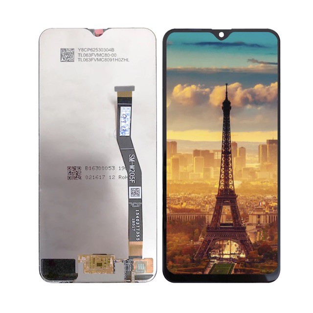 Màn Hình Sam Sung M20, M205 ZIN