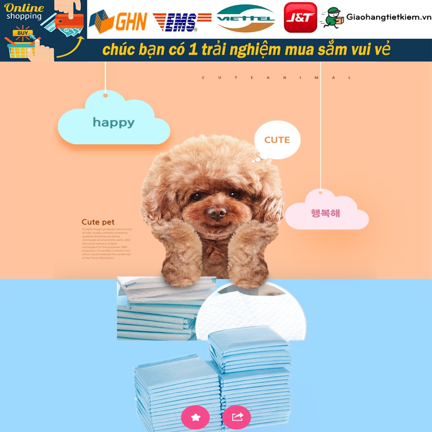 Tã chó Tã mèo Động vật Nhà vệ sinh Huấn luyện thú