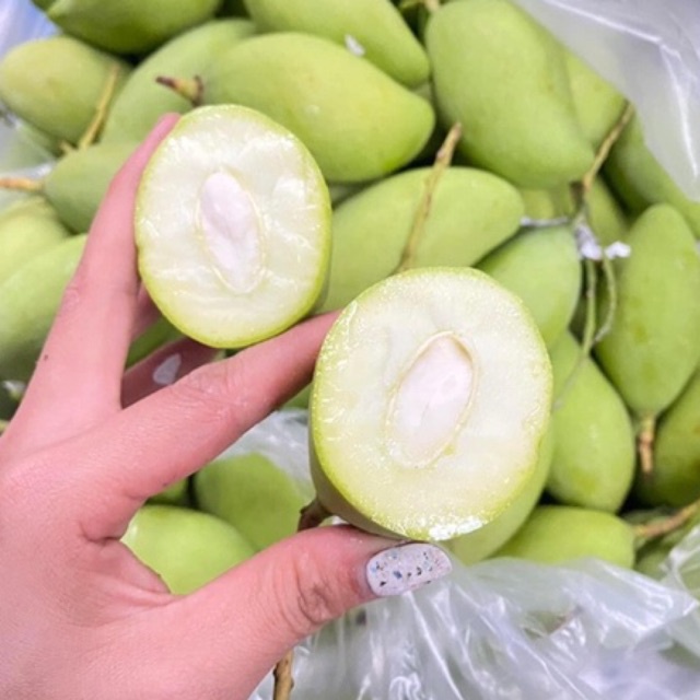 XOÀI BAO TỬ GHÉP ĐAKNONG - ship hoả tốc quanh HN
