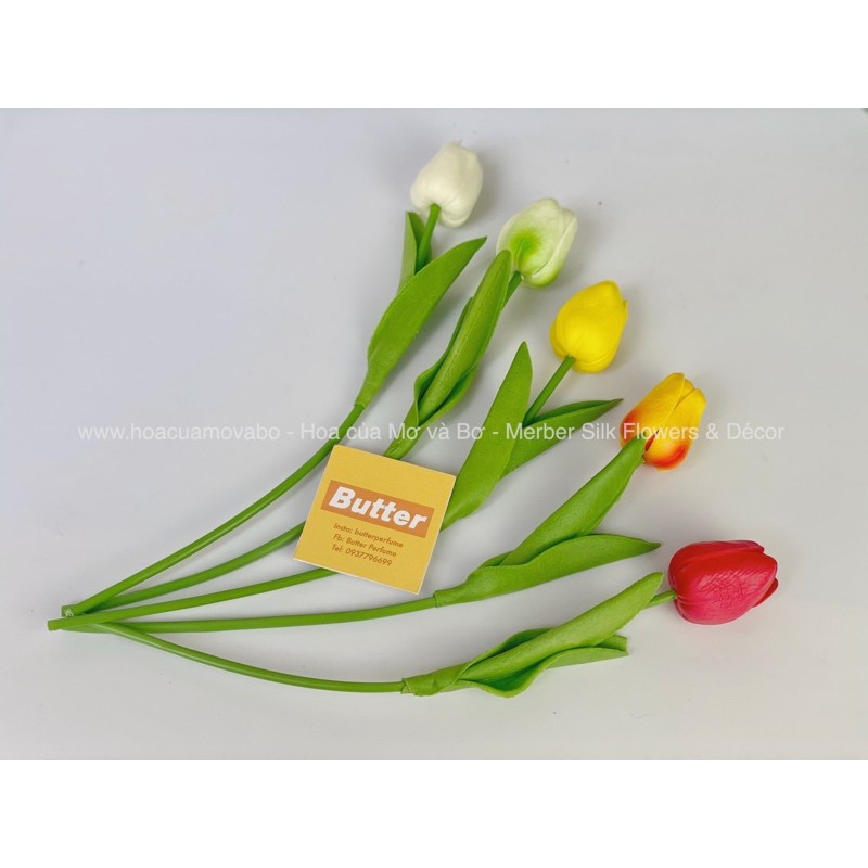 Hoa Lụa Tulip Lá Thẳng Nhiều Màu Merber (Mơ &amp; Bơ) BôngTulip Giả Cao Cấp Decor Trang Trí Trong Nhà, Phòng Khách, Để Bàn