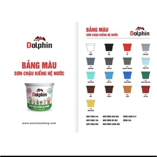 Sơn chậu cảnh hệ nước Dolphin : ngoại thất