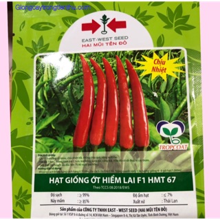 HẠT GIỐNG ỚT HIỂM LAI F1 HMT 67