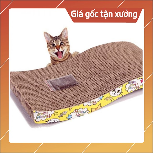 Bàn Cào Móng Mèo Giảm Cơn Cào Xé Đồ Của Boss Tặng Canip Hít Hà Sung Sướng - Bobo Pet Shop Hà Nội