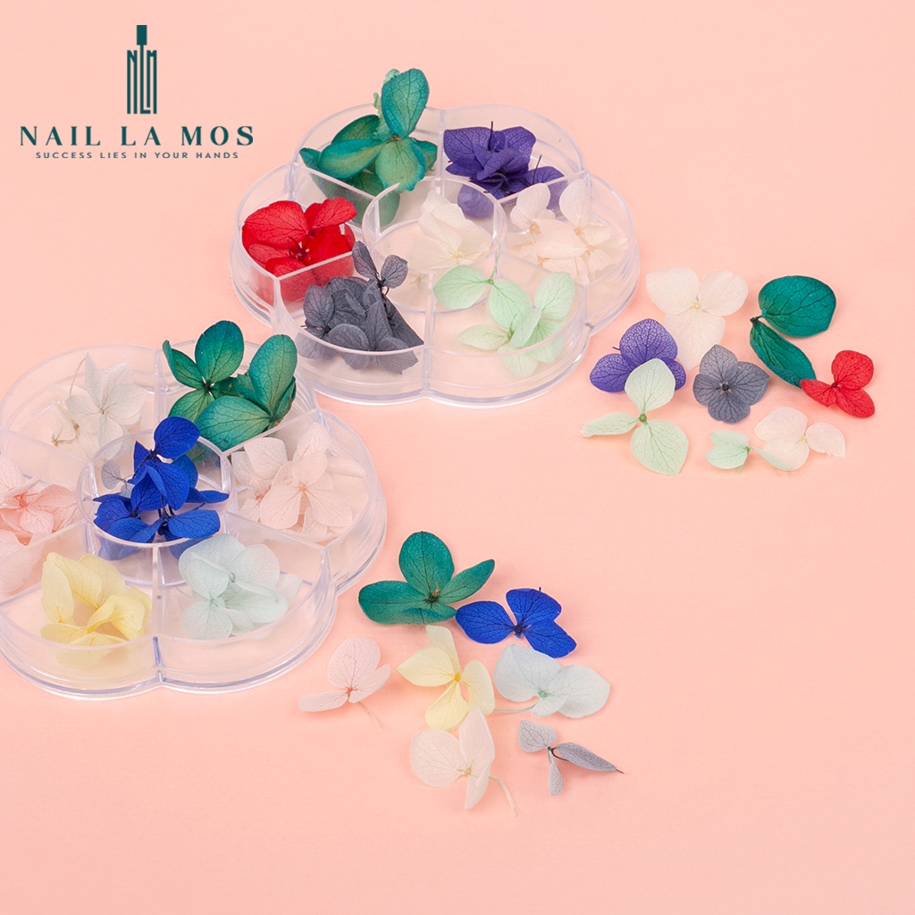 Hoa khô trang trí móng tay - Set 7 màu hoa khô nail, cánh hoa to và mỏng đắp ẩn theo phong cách Hàn Nhật
