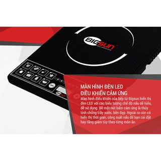 Bếp Điện Từ Bigsun BI-1