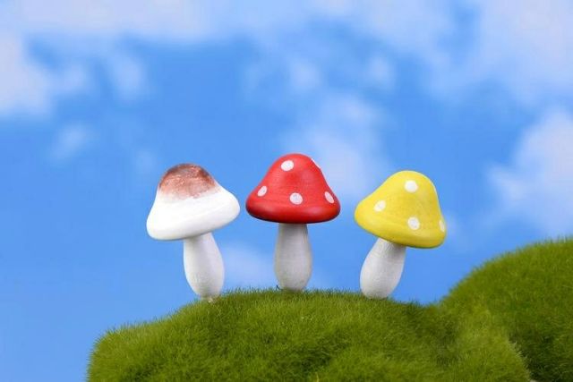 Cây Nấm Lớn Nhiều Màu ( Cây Nấm Gỗ Nhiều Màu) -  Phụ Kiện Trang Trí Tiểu Cảnh Terrariums