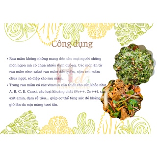 Hạt Giống Rau Mầm Cải Mầm Giàu Dinh Dưỡng - Trồng Hạt Giống Rau Củ Quả Bằng Đất Sạch, Xơ Dừa, Mùn Dừa Và Phân Bón Hữu Cơ