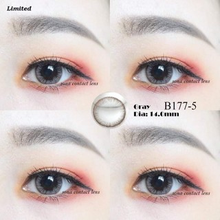 Lens Gray Hàn Có Độ Cận + khay dụng cụ