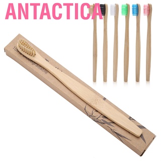 Bàn chải đánh răng gỗ tre tự nhiên thân thiện với môi trường