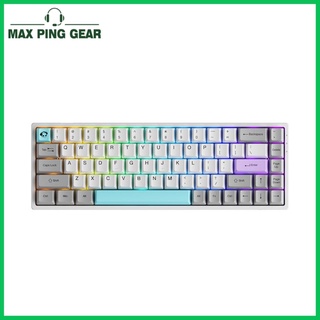 Bàn phím cơ AKKO 3068B Multi-modes Silent (Bluetooth 5.0 / Wireless 2.4Ghz / Hotswap / Foam tiêu âm / AKKO CS Jelly sw)