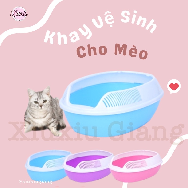 Khay Vệ Sinh Cho Mèo Hình Bầu Dục - Xiuxiu Giang