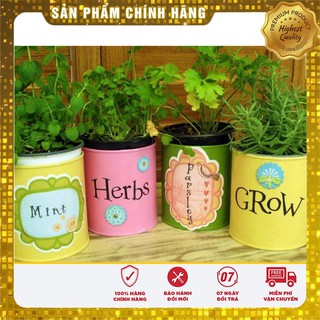 Hạt Giống Rau Thơm Xả (É Trắng) Ngon -0,5gr
