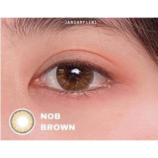 Lens Nob brown (có độ cận)