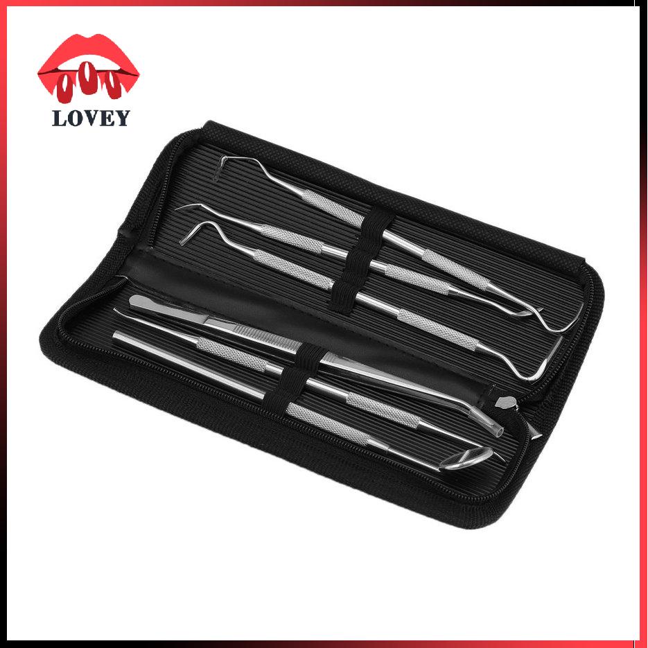 lovey★Professional 6 Pcs/Set High Quality Stainless Steel Dental Tools Kit With Bag