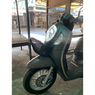 Rổ Scoopy Đủ Màu
