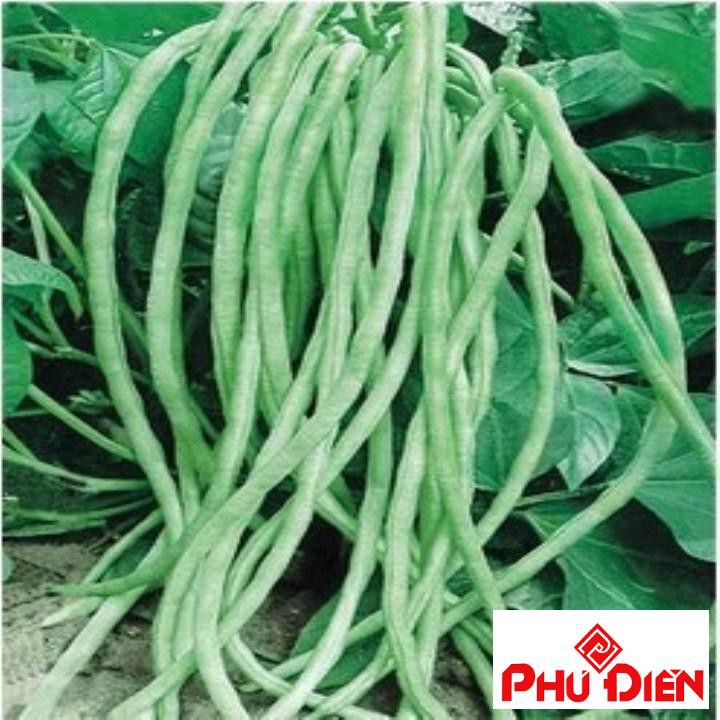 Hạt giống đậu đũa  PHÚ ĐIỀN