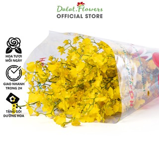Lan Vũ Nữ Vàng (200g loại B) - Hoa tươi cắm trang trí nhà cửa, văn phòng