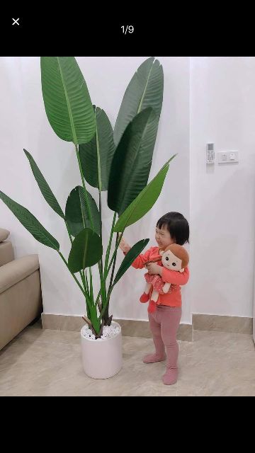 Chậu sứ Bát Tràng cao 19cm-Chậu sứ