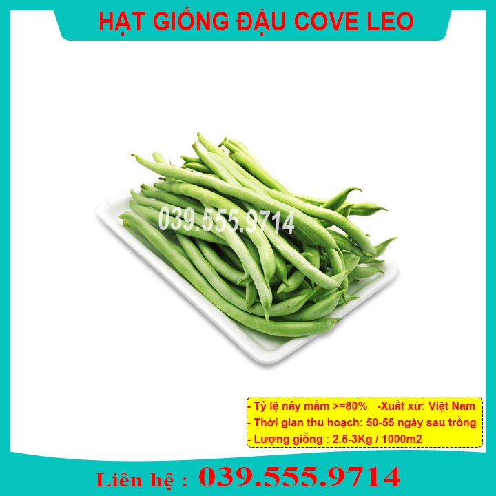 Hạt Giống Đậu  Cove Leo Giàn Siêu Quả 50gram, Kháng bệnh tốt