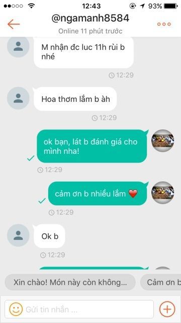 Trà hoa sâm đất giảm cân - thảo dược thiên nhiên từ núi rừng