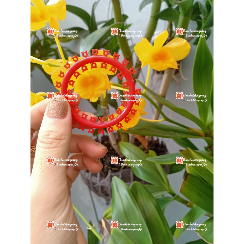 Banchainiengrang| Thun đơn niềng răng hình Mèo nhiều màu đáng yêu, chun niềng răng gắn mắc cài hoạt hình