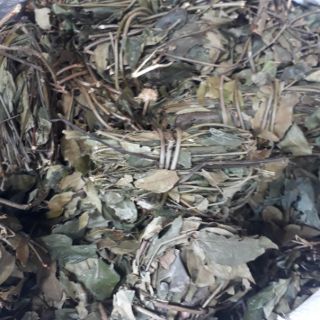 1kg Ngọn chè vằng sẻ cuộn