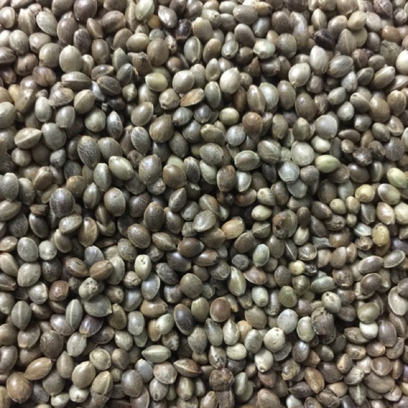 Hạt láng tròn, hạt trộn dành cho thú cưng - Pet Food Store.