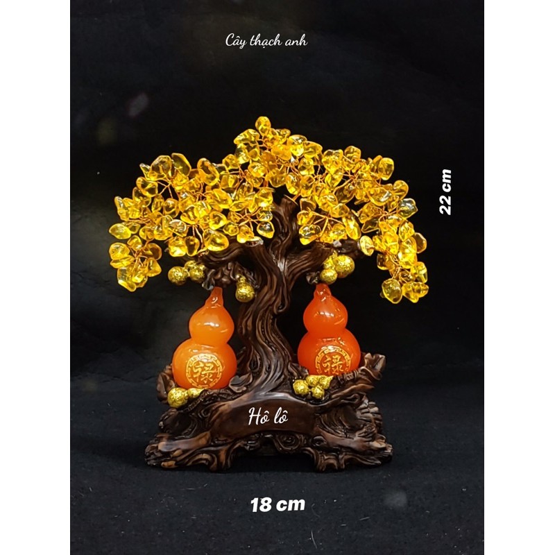 cây bonsai hồ lô phong thuỷ