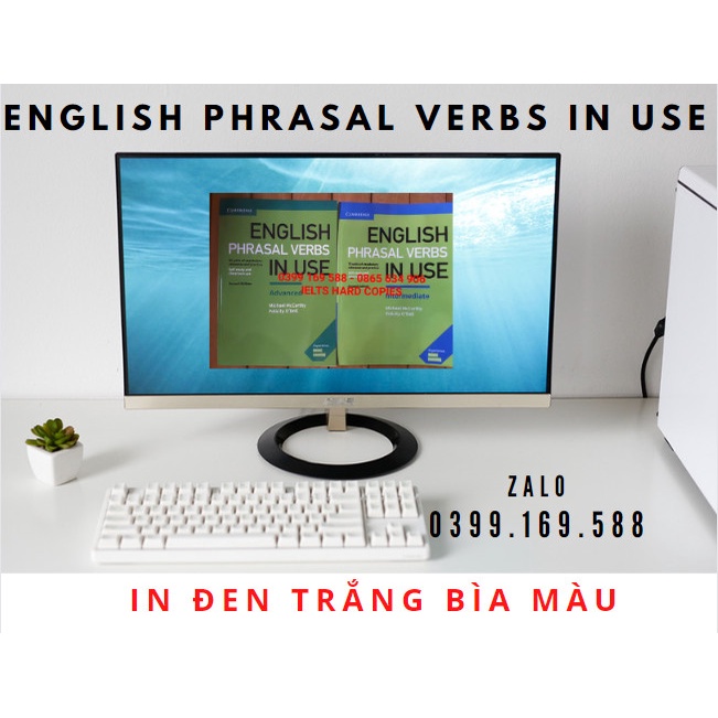 English Phrasal Verbs in Use