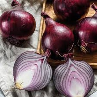 Gói 100 Hạt giống hành tây tím