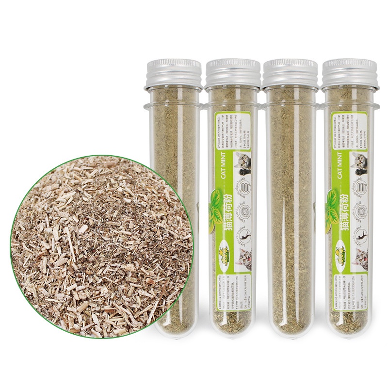 CỎ MÈO BẠC HÀ CATNIP