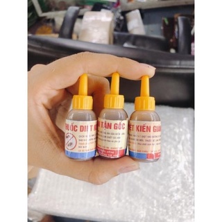 Thuốc diệt kiến - gián / dạng mật mía