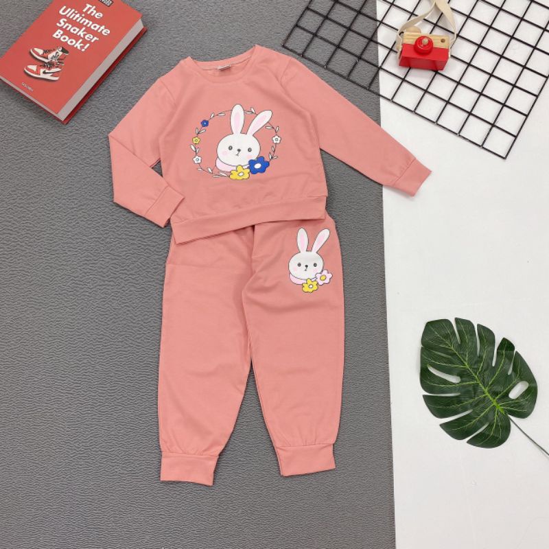 Bộ ngủ tay dài mùa mưa thu đông thun cotton 4 chiều in thỏ dễ thương 8-24kg