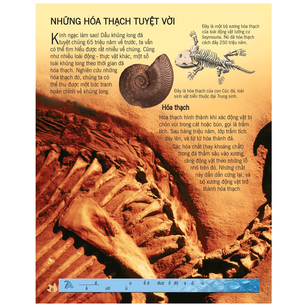 Sách thiếu nhi - Bách khoa tri thức về khám phá thế giới cho trẻ em - Khủng Long