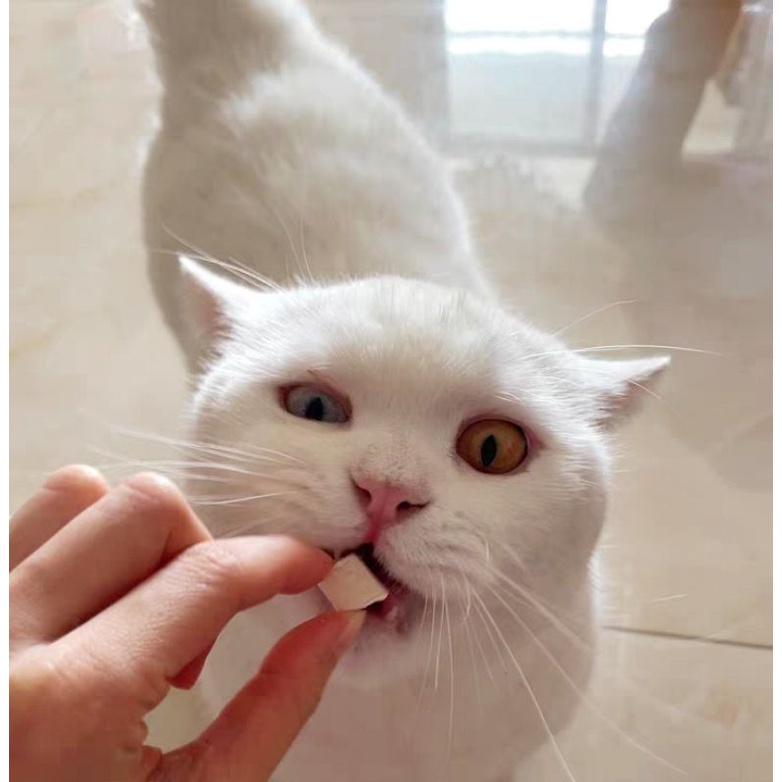 [Mã PET50K giảm Giảm 10% - Tối đa 50K đơn từ 250K]  Thịt Gà Sấy Khô Cho Cún Mèo - 50G