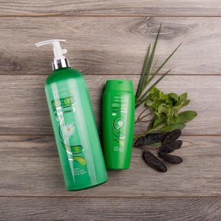 Dầu gội Thái Dương 3 hương lá 1100ml tặng kèm sữa tắm