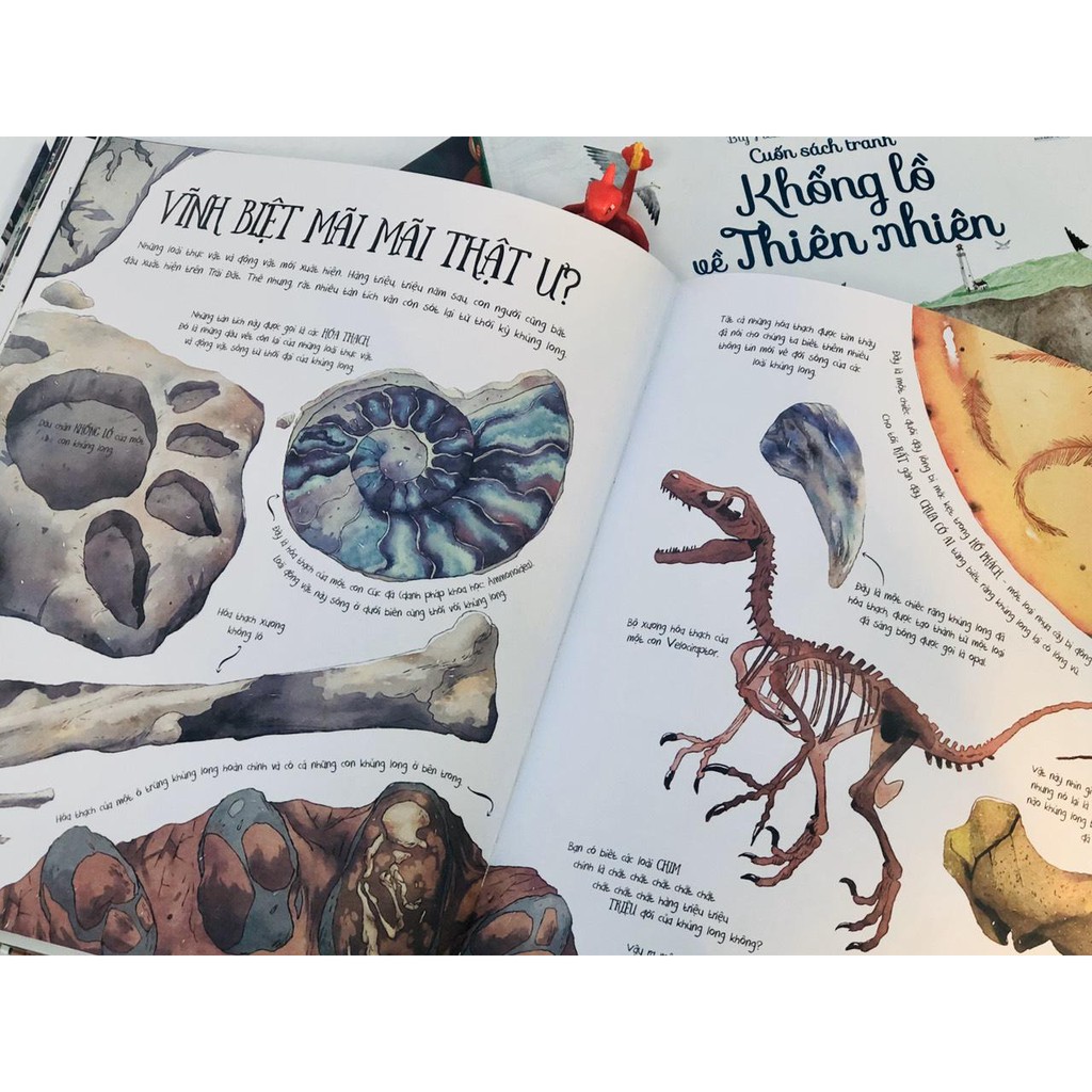Sách Big Picture Book Dinosaurs Cuốn sách tranh khổng lồ về Khủng Long