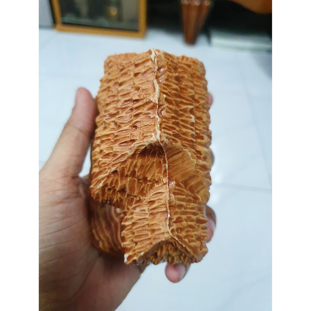 NHÀ LÁ TRANG TRÍ HỒ CÁ NON BỘ 10x6x7cm
