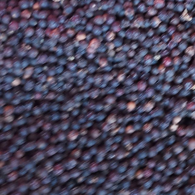 HẠT TIÊU SẺ HỮU CƠ (ORganic) VỤ MỚI NHÀ VƯỜN (500-1000G)