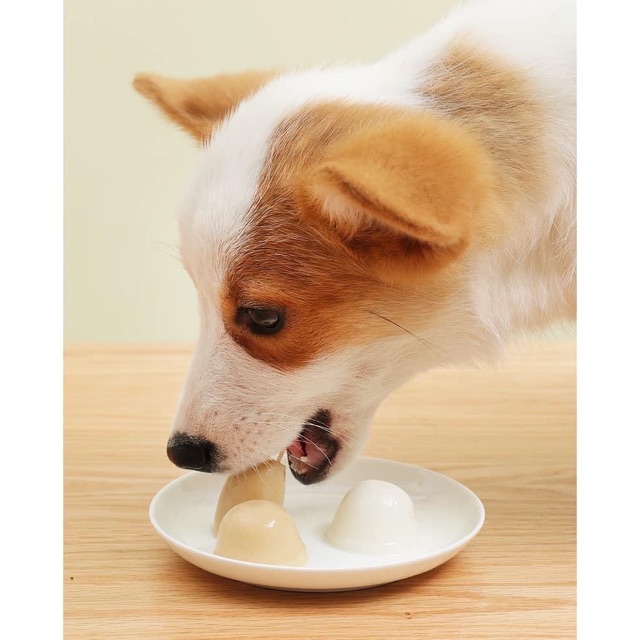 Pudding thạch sữa dê bổ sung canxi cho mèo gói 225g