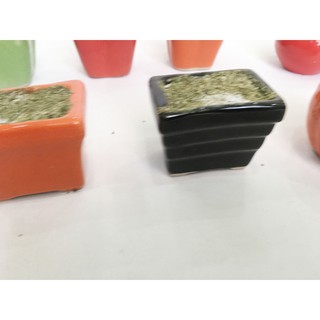 [Xả kho] Chậu gốm sứ mini cắm hoa handmade, hoa pha lê, hoa đất sét (KT C5xR5cm)