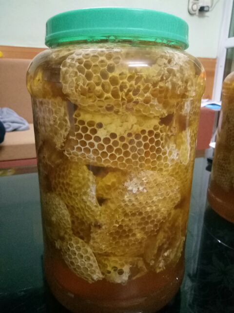 Mật ong rừng nguyên sáp hảo hạng 1kg