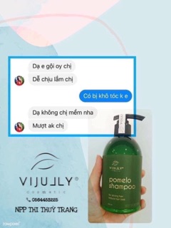 COMBO GỘI XẢ XỊT 🍐 VIJULLY