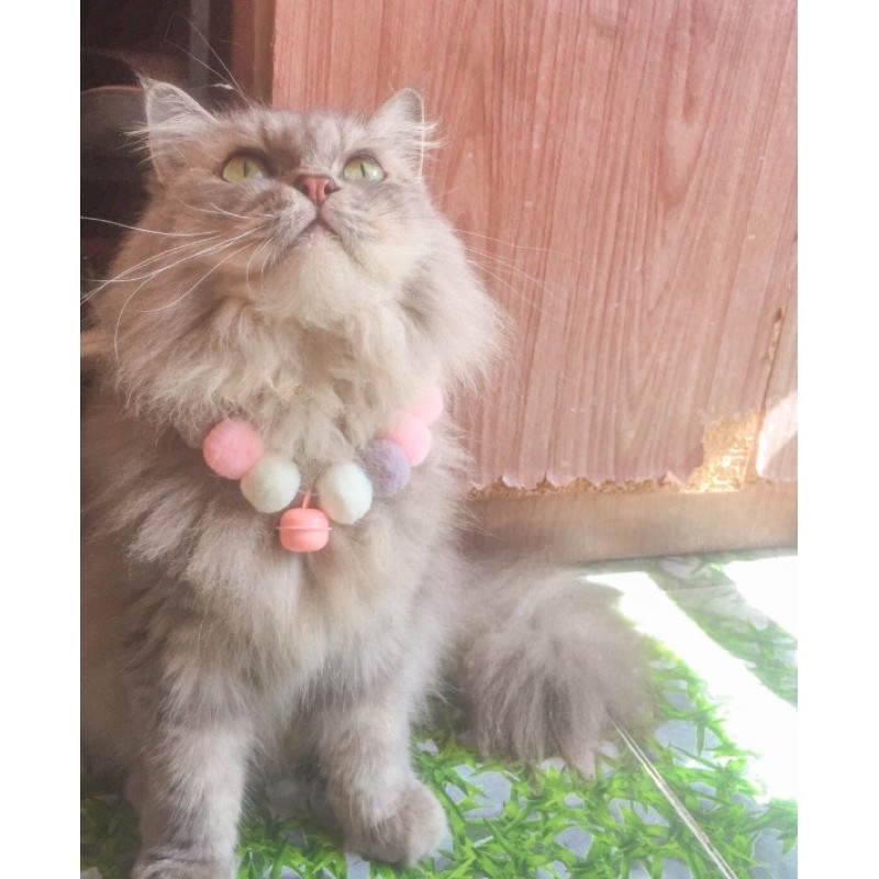 🔴🟡 VÒNG CỔ THÚ CƯNG BÔNG TUYẾT SIÊU XINH⚪️🟣