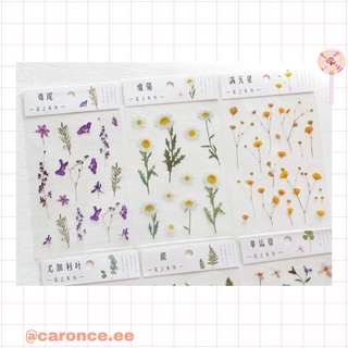 Sticker hoa lá thơ mộng trang trí