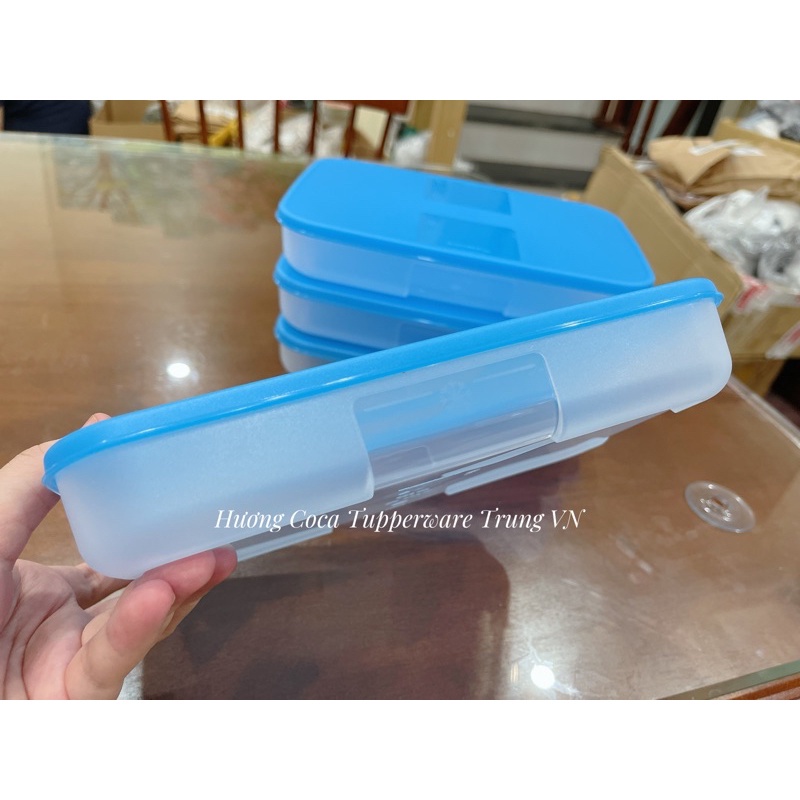Bộ hộp trữ đông TUPPERWARE dẹt 650ml/hộp