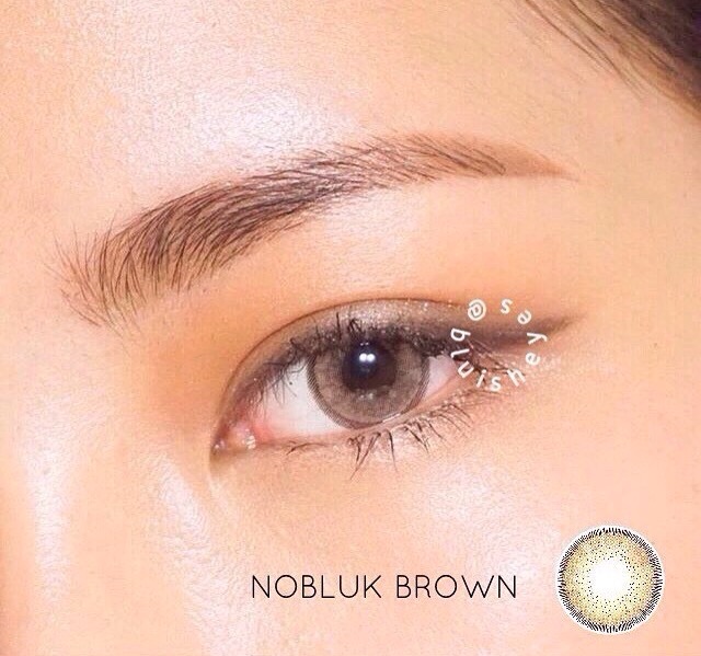 Lens tây Nobluk brown